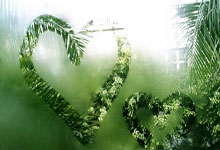 西班牙人队近期有哪些关键动态？阵容、赛事与引援都有新变化？