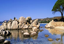 欧冠ds足球是什么？它能为球迷带来哪些独特体验？